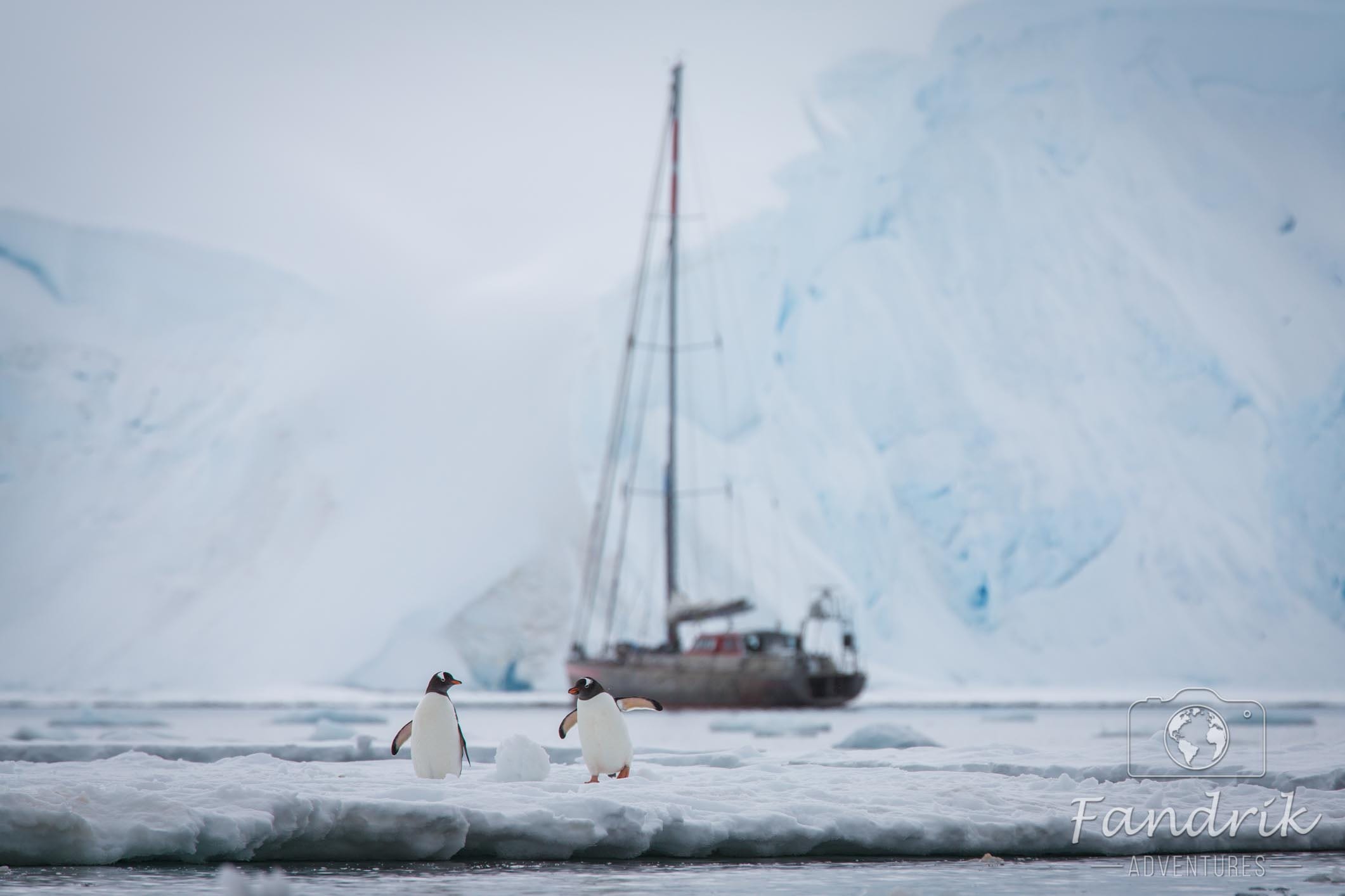 Zwei Pinguine laufen vor einem Segelschiff entlang
