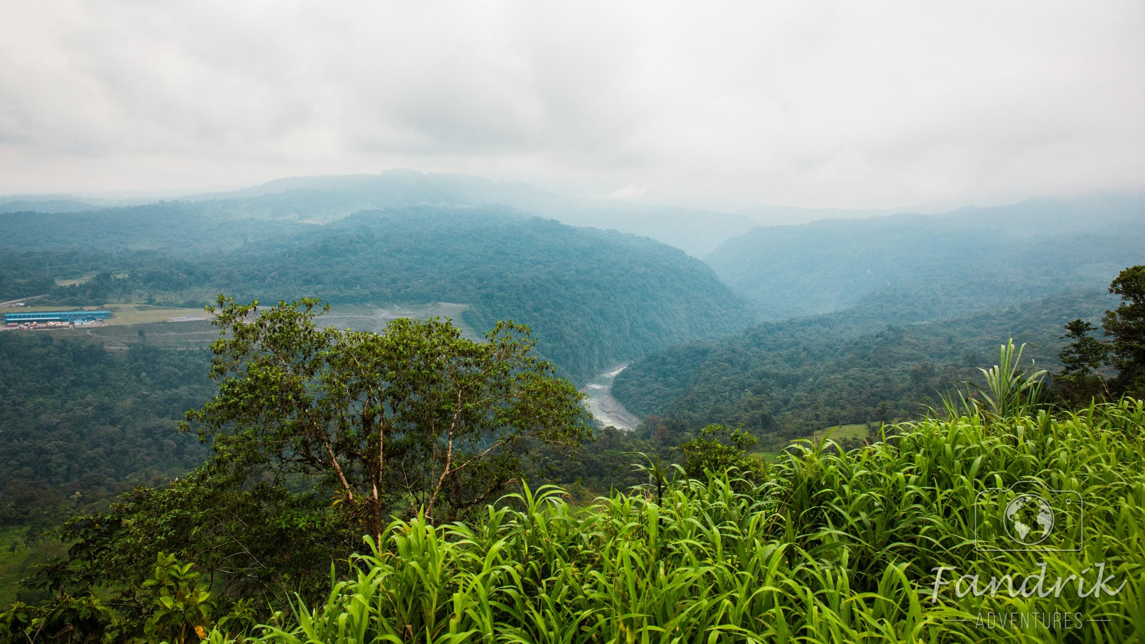 Der grüne Regenwald des Amazonas in Ecuador.
